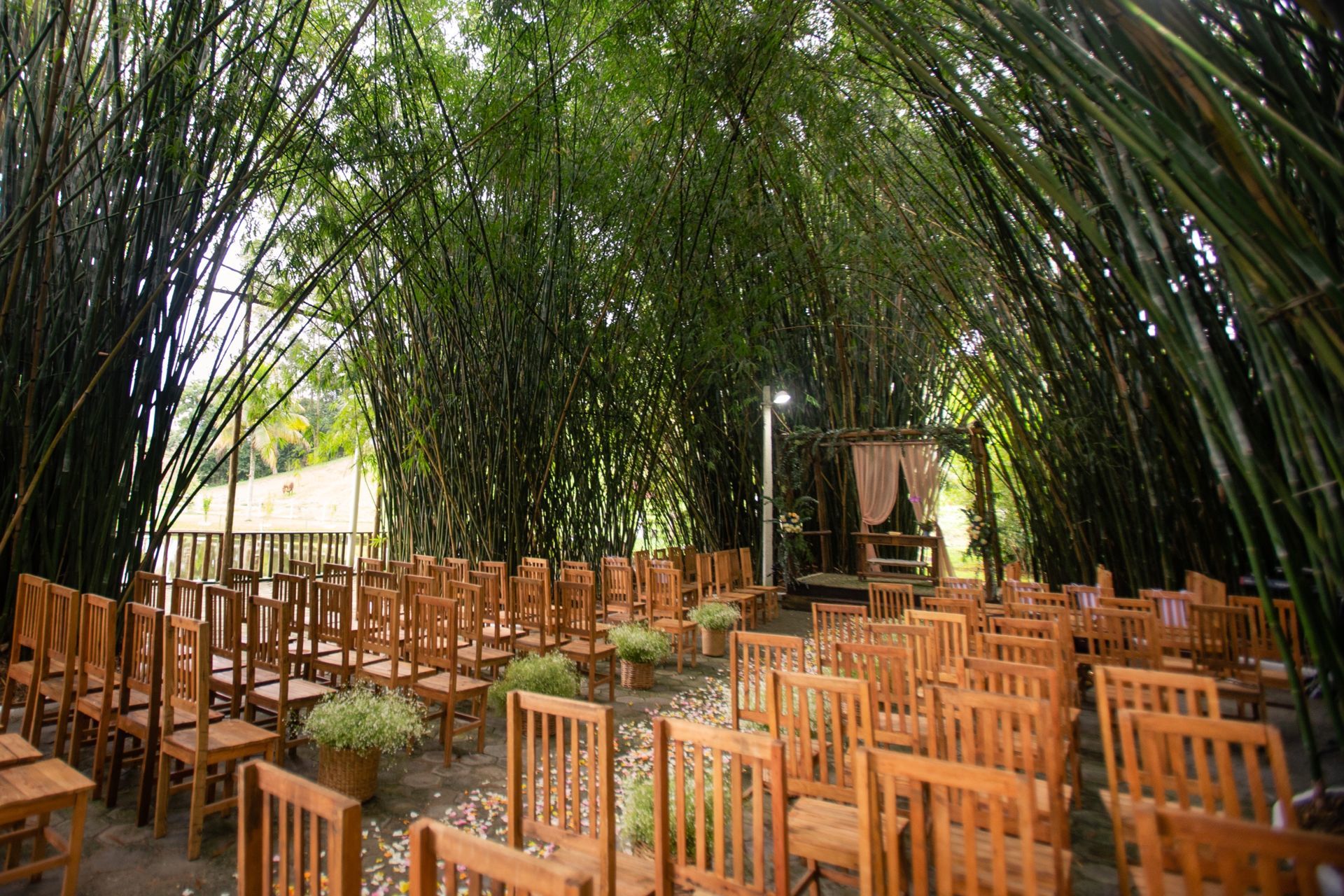 Foto Fotos: Decoração de Casamento no Sítio Shanadu Foto Fotos: Decoração de Casamento no Sítio Shanadu - Imagem 34